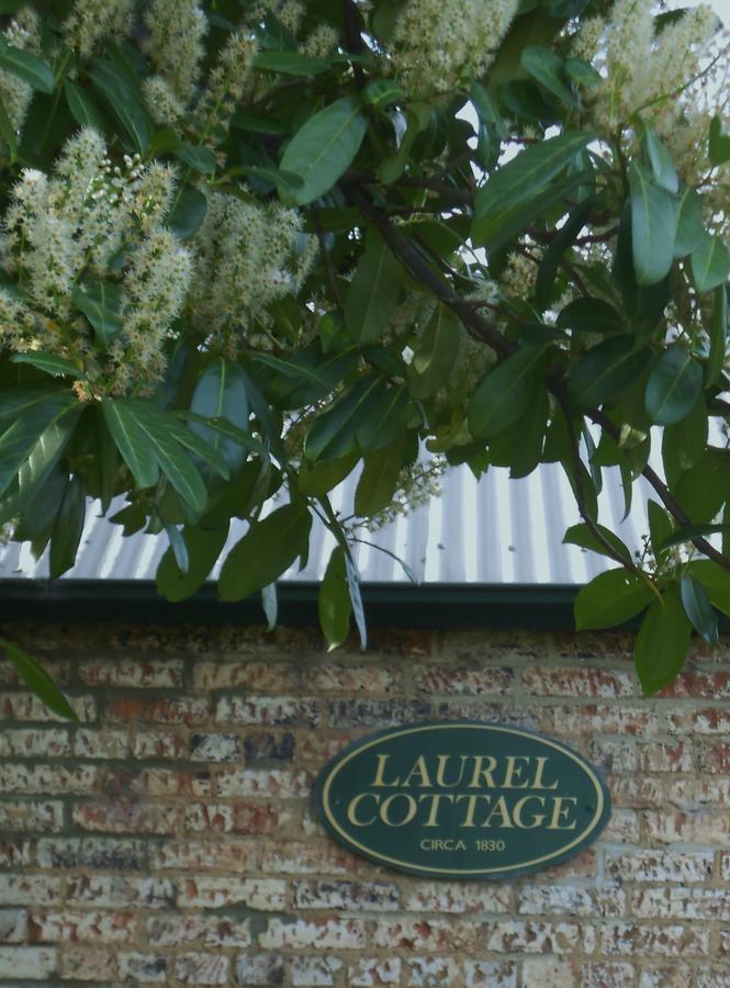 Laurel Cottage Ричмонд Экстерьер фото
